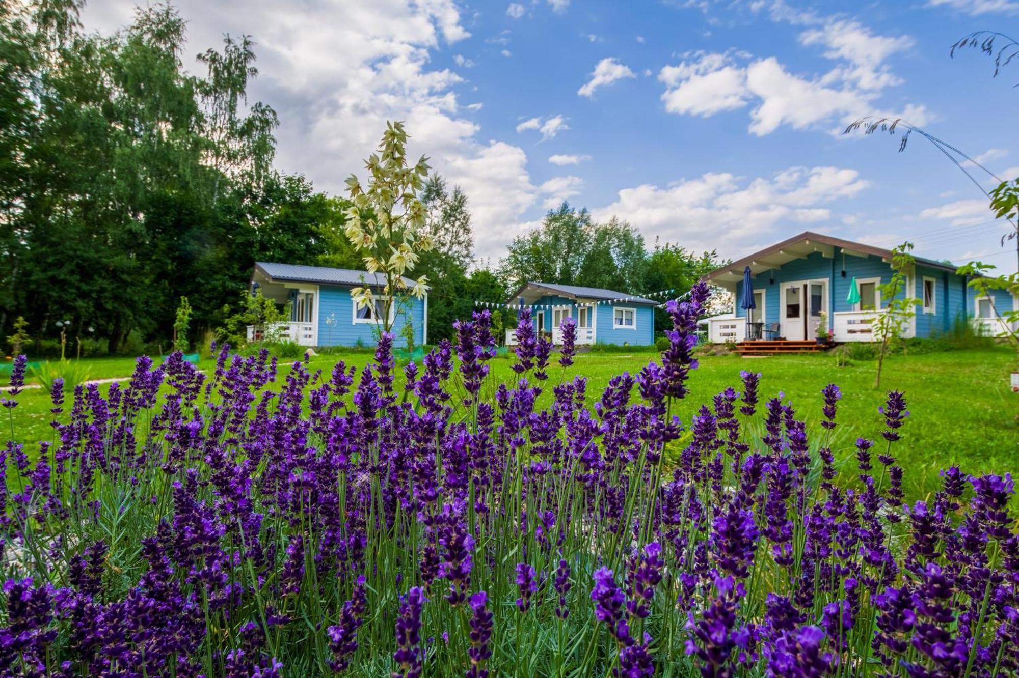Domek Caloroczny Na Wylacznosc Niebieska Osada Nad Gorskim Potokiem Stary Waliszow Eksteriør bilde