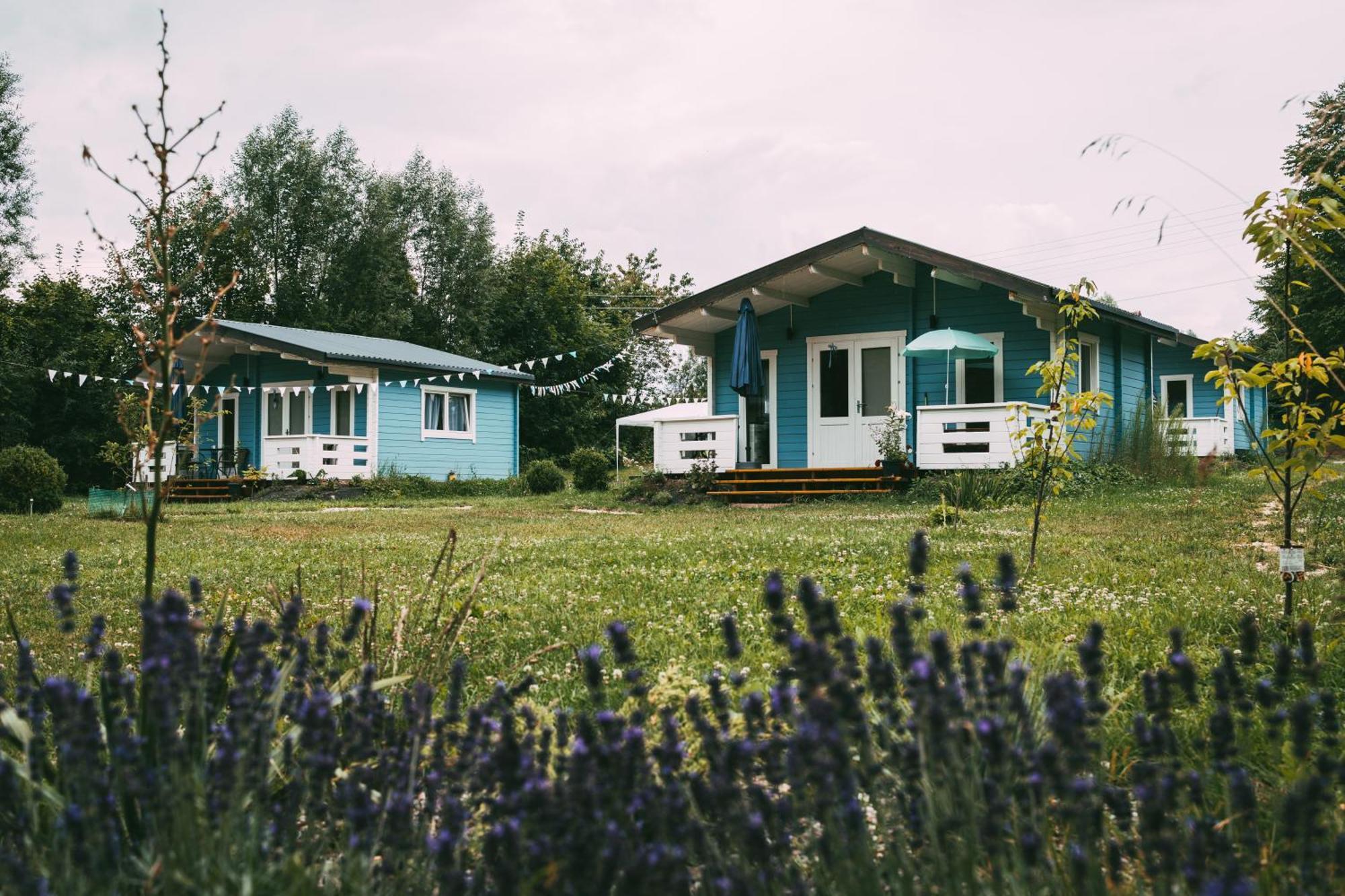 Domek Caloroczny Na Wylacznosc Niebieska Osada Nad Gorskim Potokiem Stary Waliszow Eksteriør bilde